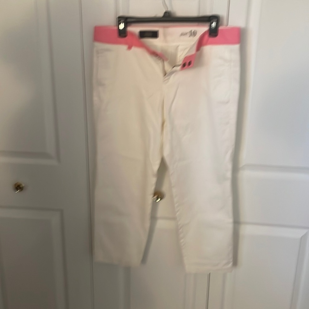 J. CREW 10 Scout Cropped Chino Pants
